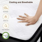 Colchón Queen de 14 pulgadas en caja, espuma viscoelástica con gel refrescante y resortes ensacados, firmeza media, alivio de presión, aislamiento de movimiento, certificado CertiPUR-US