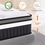 Colchón Queen de 14 pulgadas en caja, espuma viscoelástica con gel refrescante y resortes ensacados, firmeza media, alivio de presión, aislamiento de movimiento, certificado CertiPUR-US